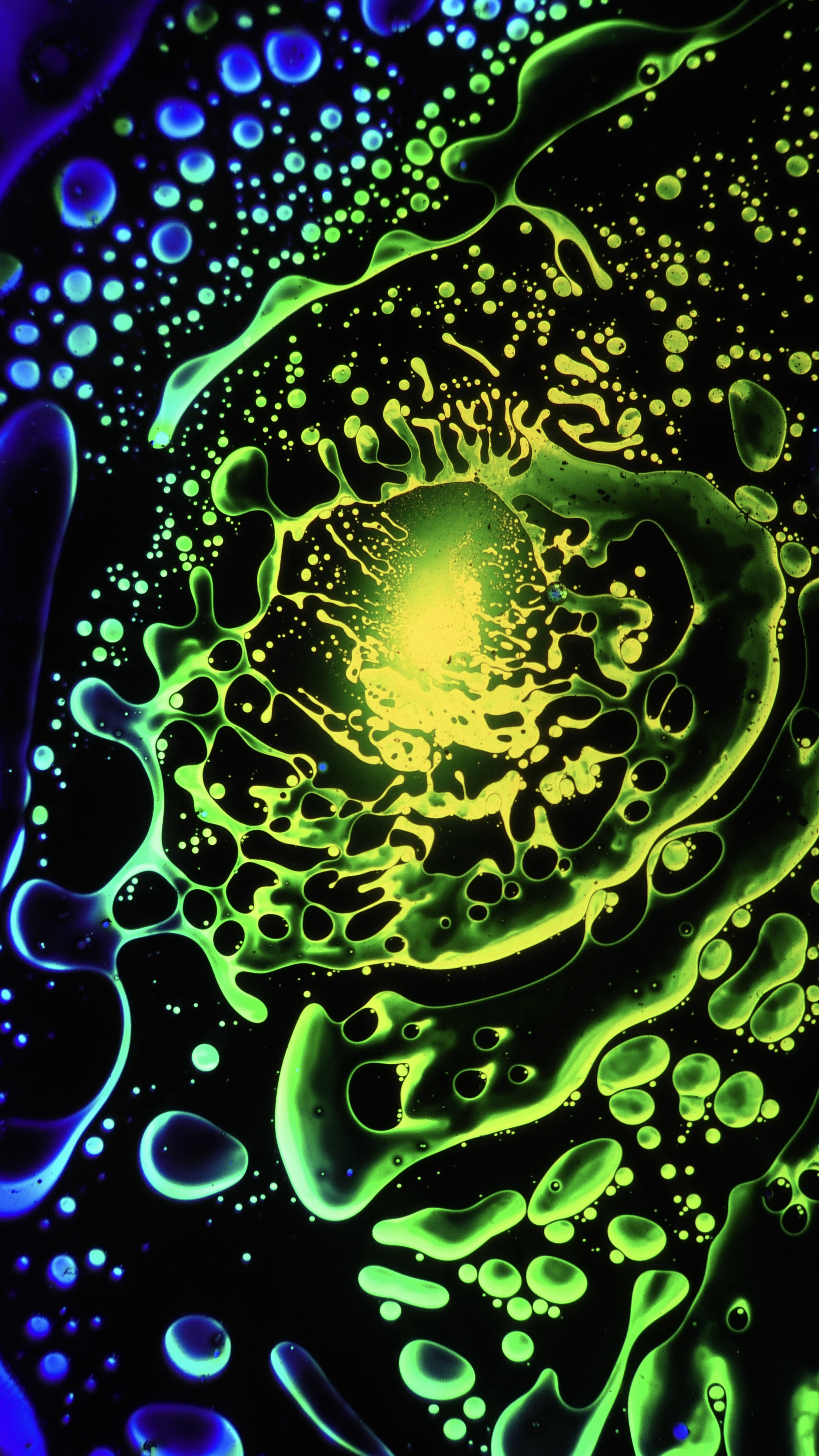 LiquidFidelity Art Print #3